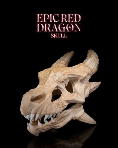 Caveira decorativa de dragão